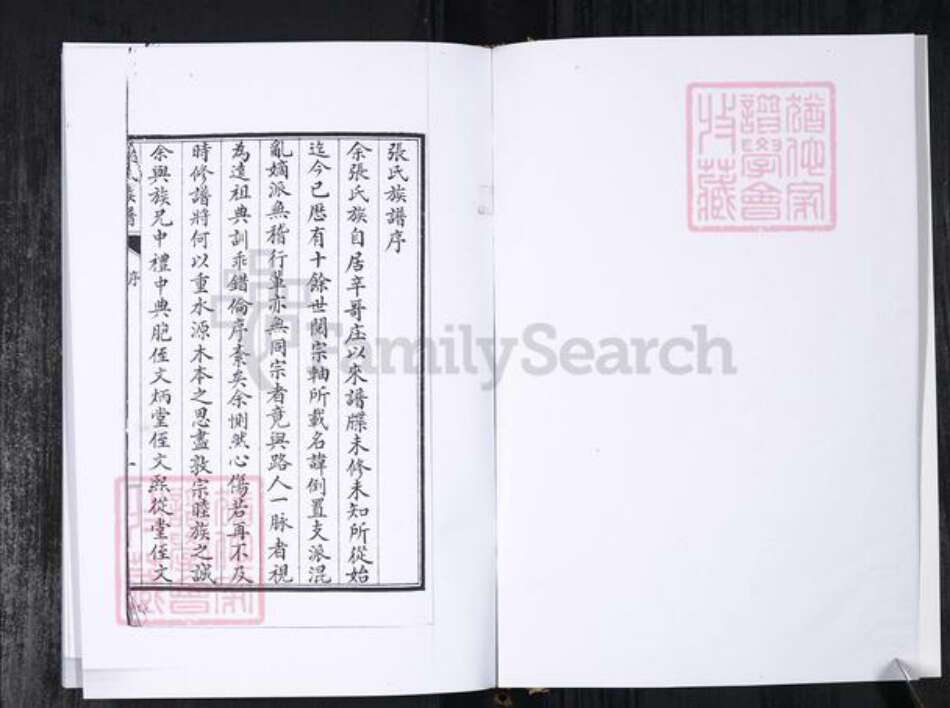 山东省青岛市张氏族谱-张氏族谱.辛戈庄.pdf电子版预览图2