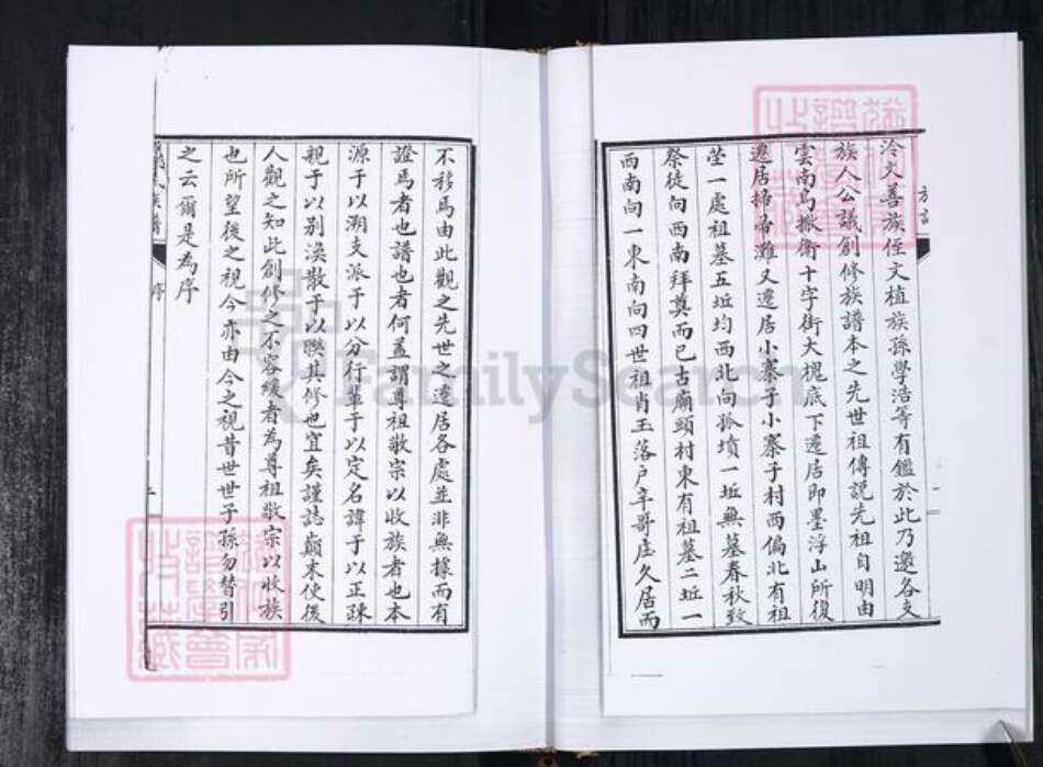 山东省青岛市张氏族谱-张氏族谱.辛戈庄.pdf电子版预览图3