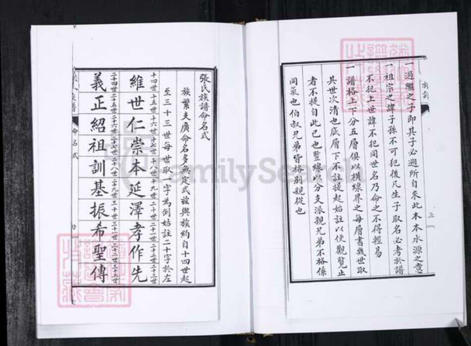 山东省青岛市张氏族谱-张氏族谱.辛戈庄.pdf电子版预览图5