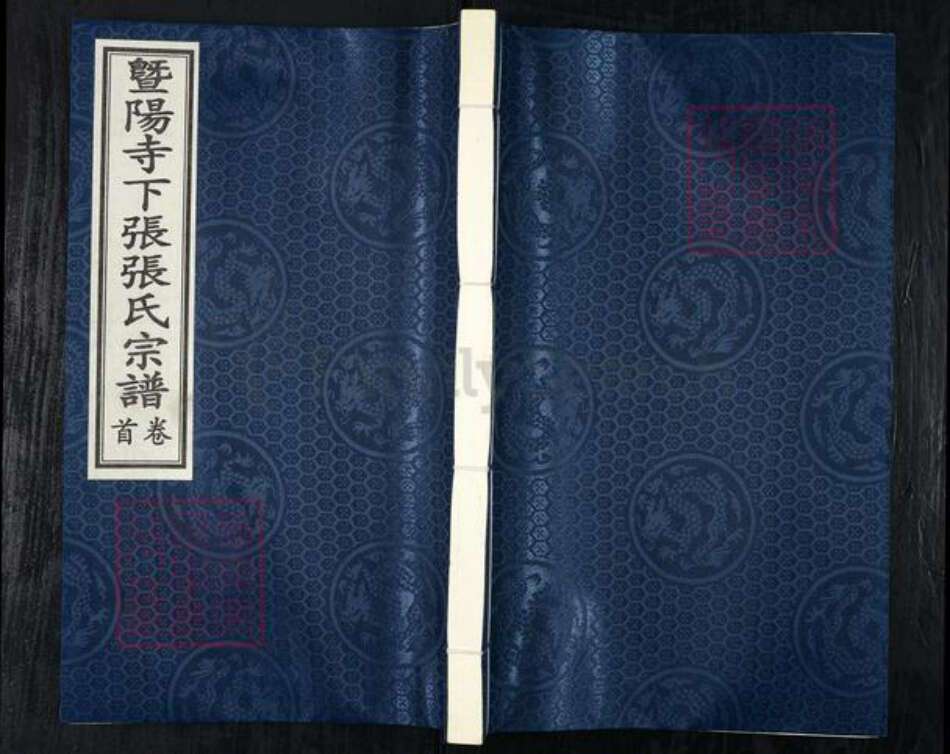 浙江省绍兴诸暨市牌头镇张氏芝泉堂族谱-暨阳寺下张张氏宗谱.pdf电子版缩略图