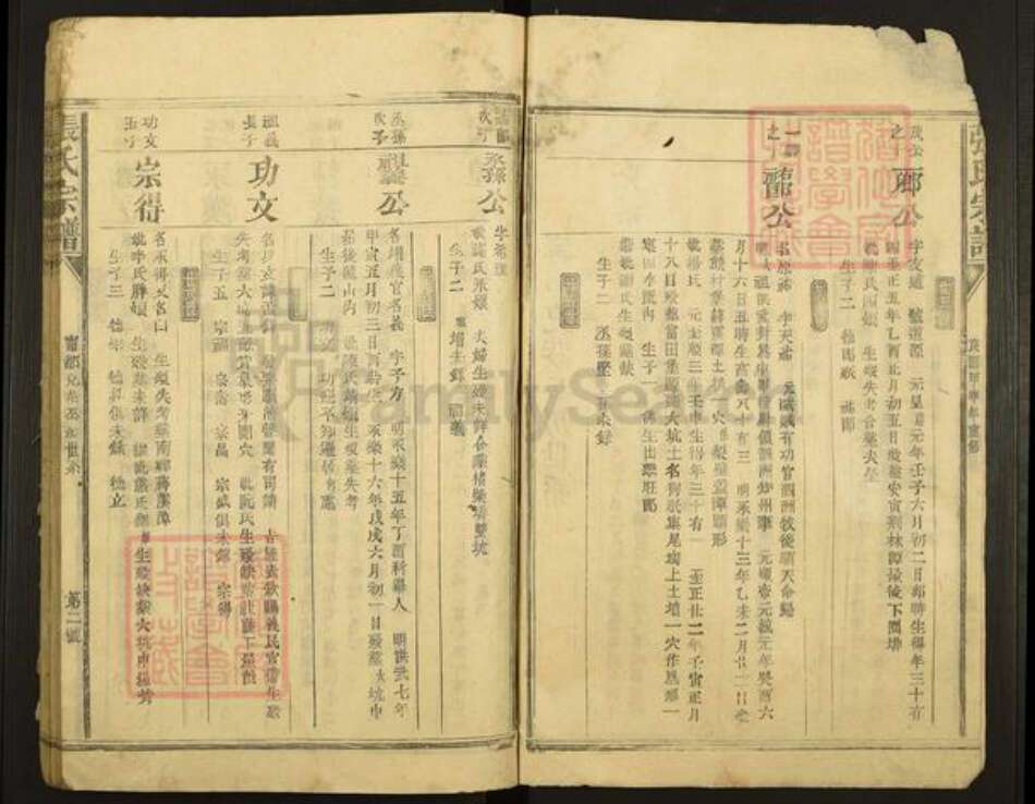 江西省赣州市宁都县张氏族谱-张氏宗谱.pdf电子版预览图2