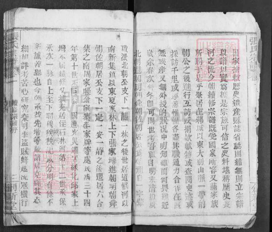 湖北省武汉市新洲区张氏创新堂族谱-张氏宗谱.pdf电子版预览图3