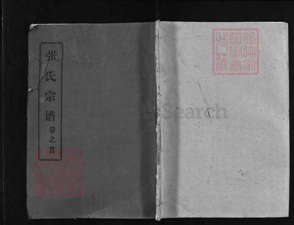 湖北省黄冈市张氏族谱-张氏宗谱 [35卷,首1卷].pdf电子版预览图1