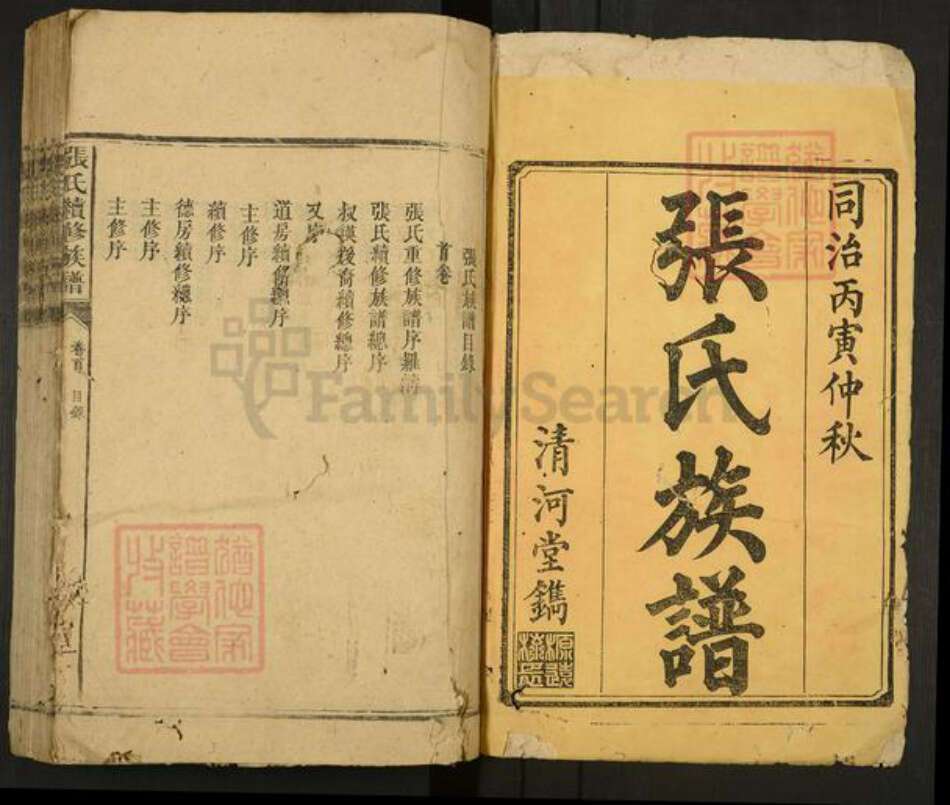 湖南省郴州市张氏清河堂族谱-张氏续修族谱.pdf电子版预览图1