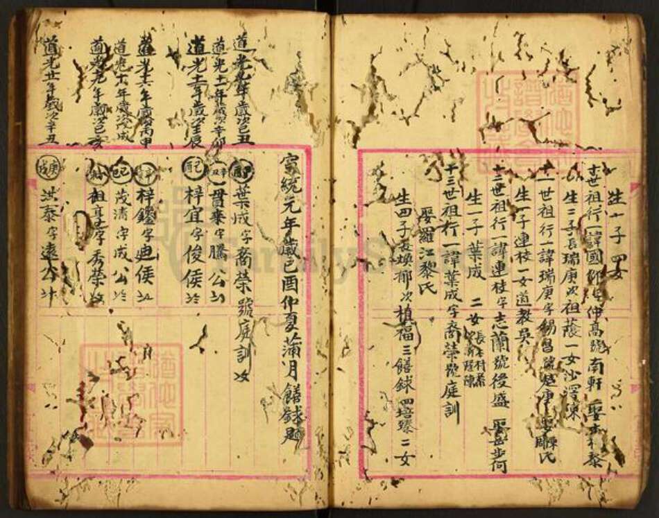 广东省佛山市顺德区张氏族谱-张毓秀堂人丁连枝部.pdf电子版预览图3