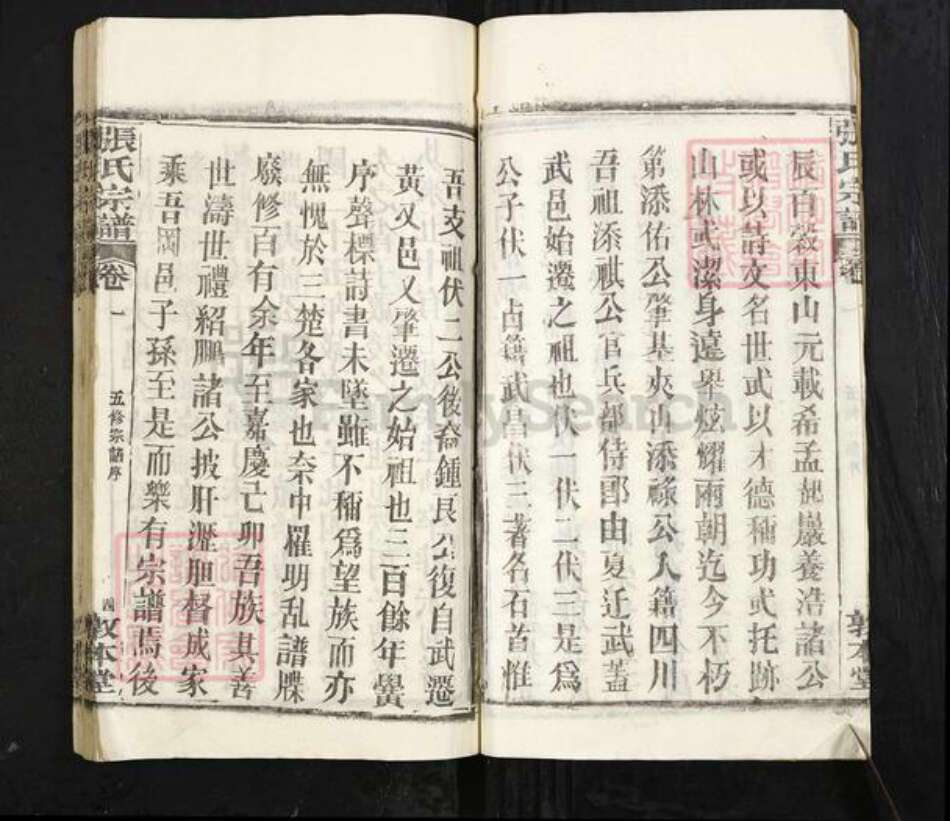 湖北省黄冈市张氏敦本堂族谱-张氏宗谱.pdf电子版预览图4