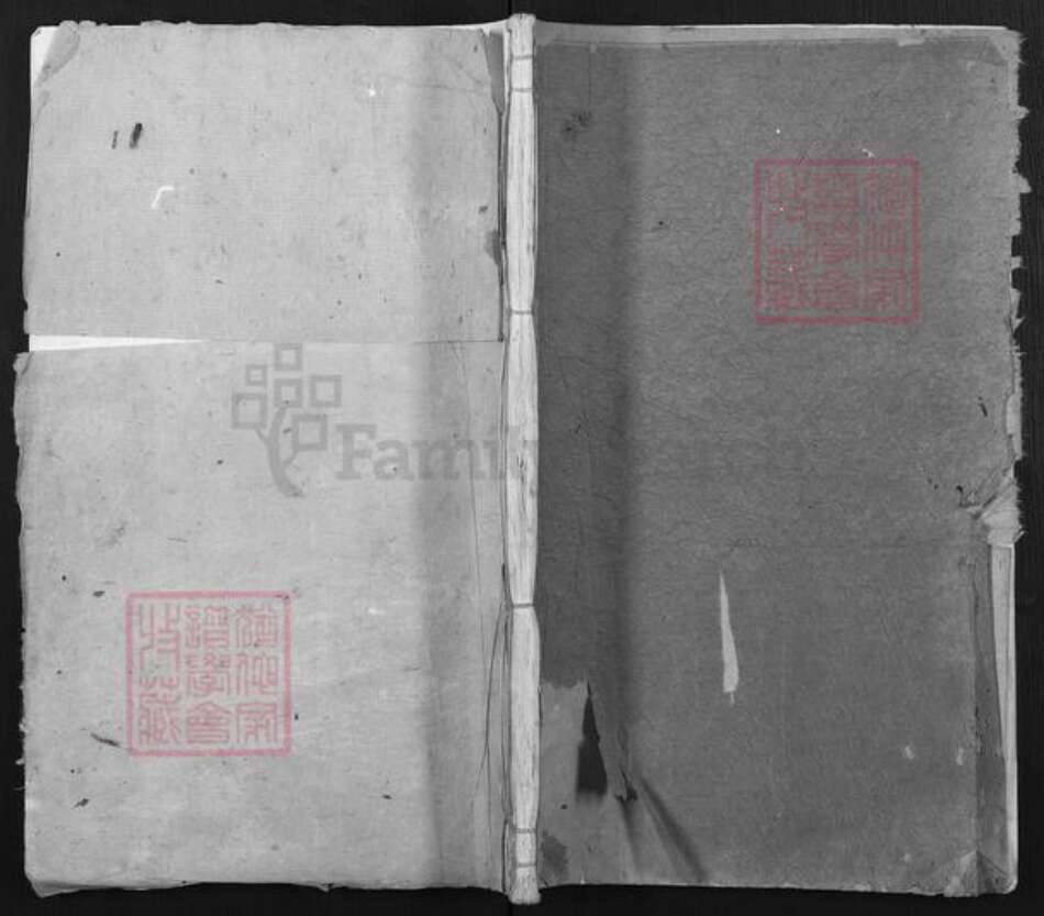 浙江省丽水市遂昌县张氏族谱-蕉川张氏宗谱.pdf电子版缩略图