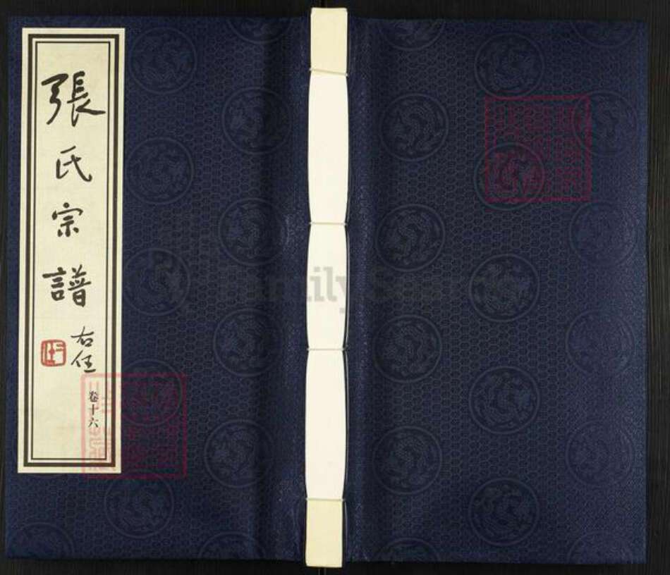 江苏省常州市钟楼区张氏族谱-张氏宗谱.pdf电子版缩略图