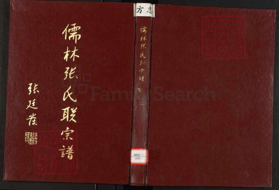福建省张氏儒林堂族谱-儒林张氏联宗谱.pdf电子版缩略图