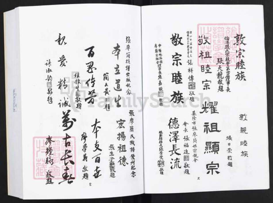 福建省张氏族谱-张氏大族谱.pdf电子版预览图3