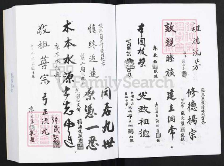 福建省张氏族谱-张氏大族谱.pdf电子版预览图4