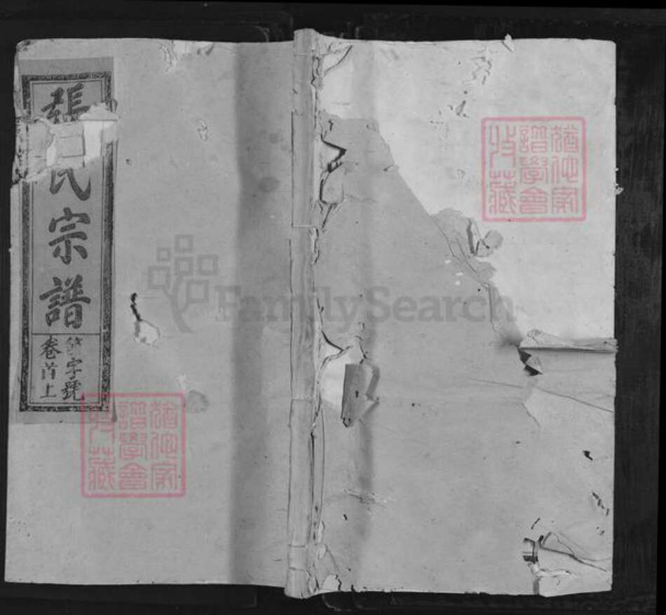 江西省上饶市上饶县湖村乡张氏族谱-清河张氏宗谱.pdf电子版缩略图