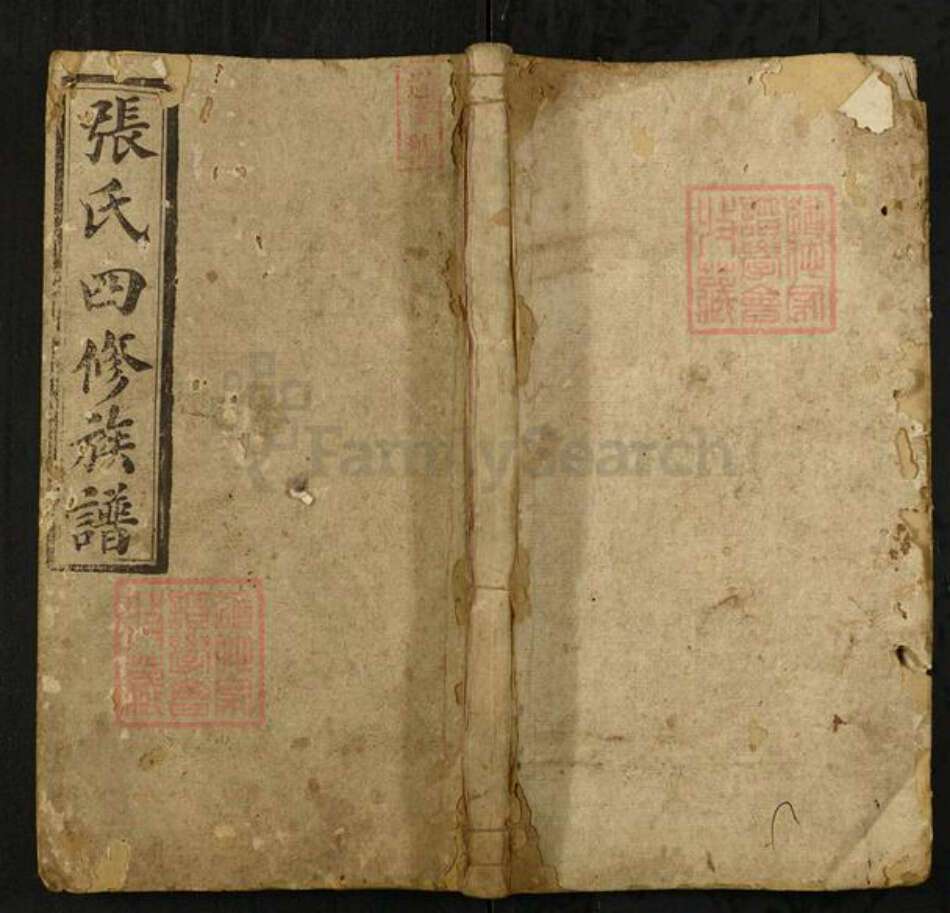 湖南省邵阳市隆回县张氏源流堂族谱-张氏四修族谱.pdf电子版缩略图