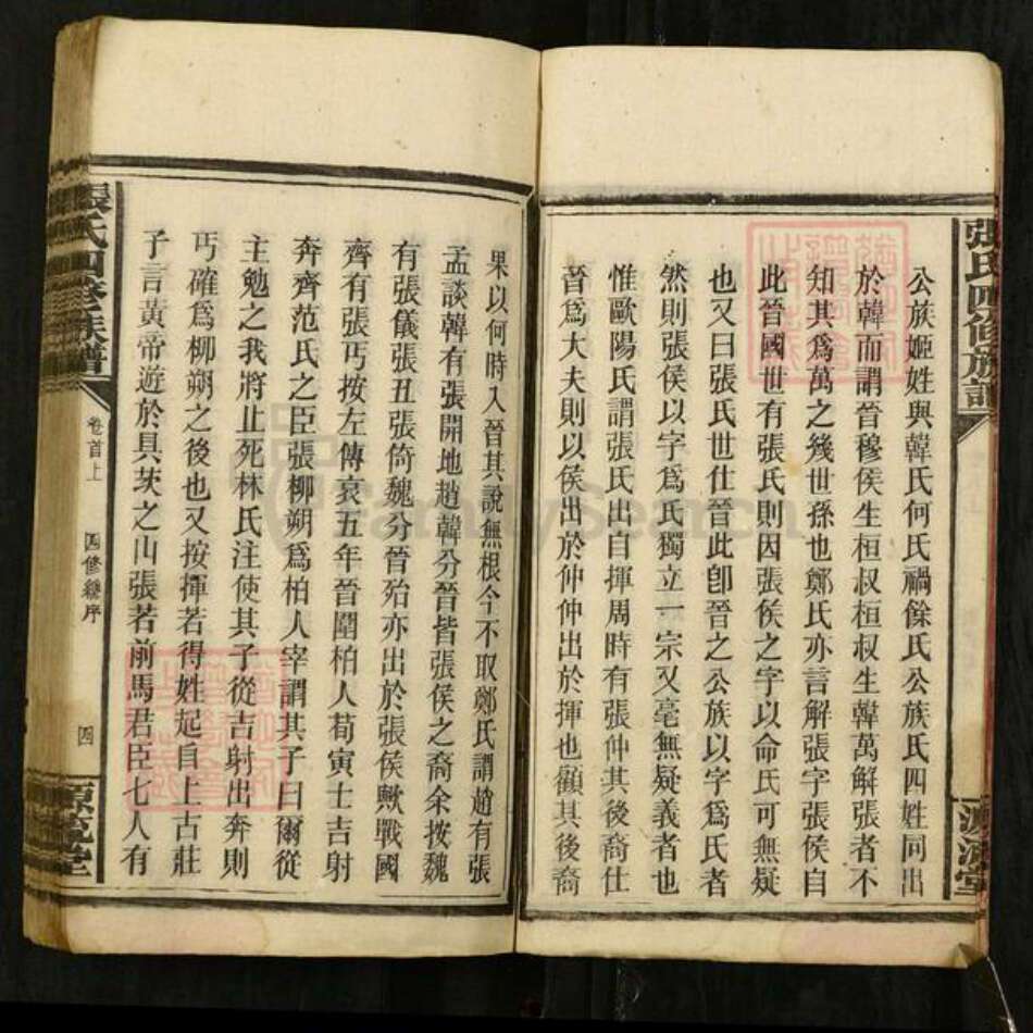 湖南省邵阳市隆回县张氏源流堂族谱-张氏四修族谱.pdf电子版预览图5