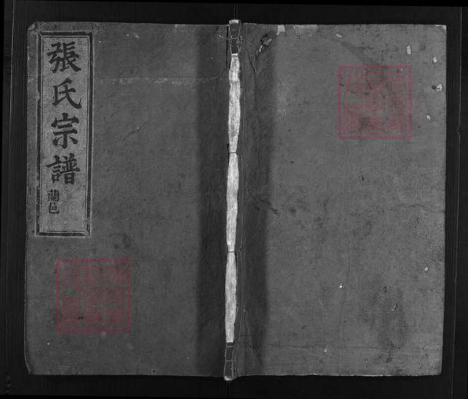 浙江省温州市平阳县张氏族谱-张氏宗谱 [不分卷].pdf电子版预览图1
