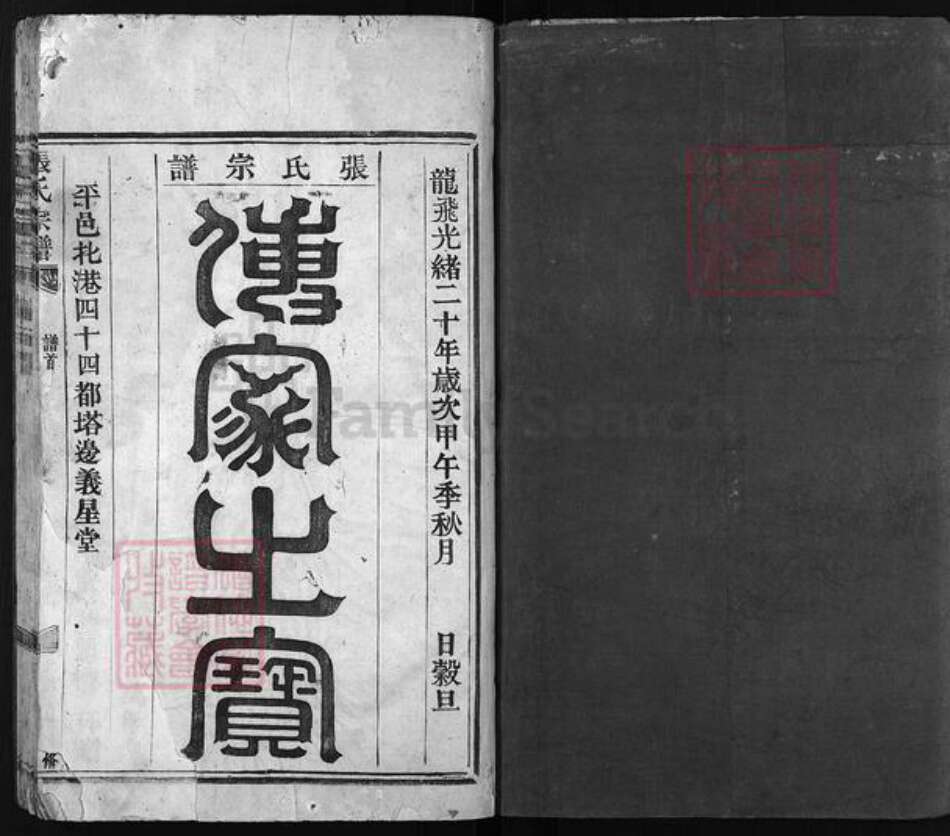 浙江省温州市平阳县张氏族谱-张氏宗谱 [不分卷].pdf电子版预览图2