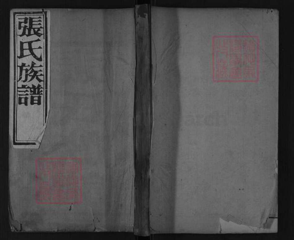 山东省泰安市肥城市汶阳镇张氏族谱-张氏族谱.pdf电子版缩略图