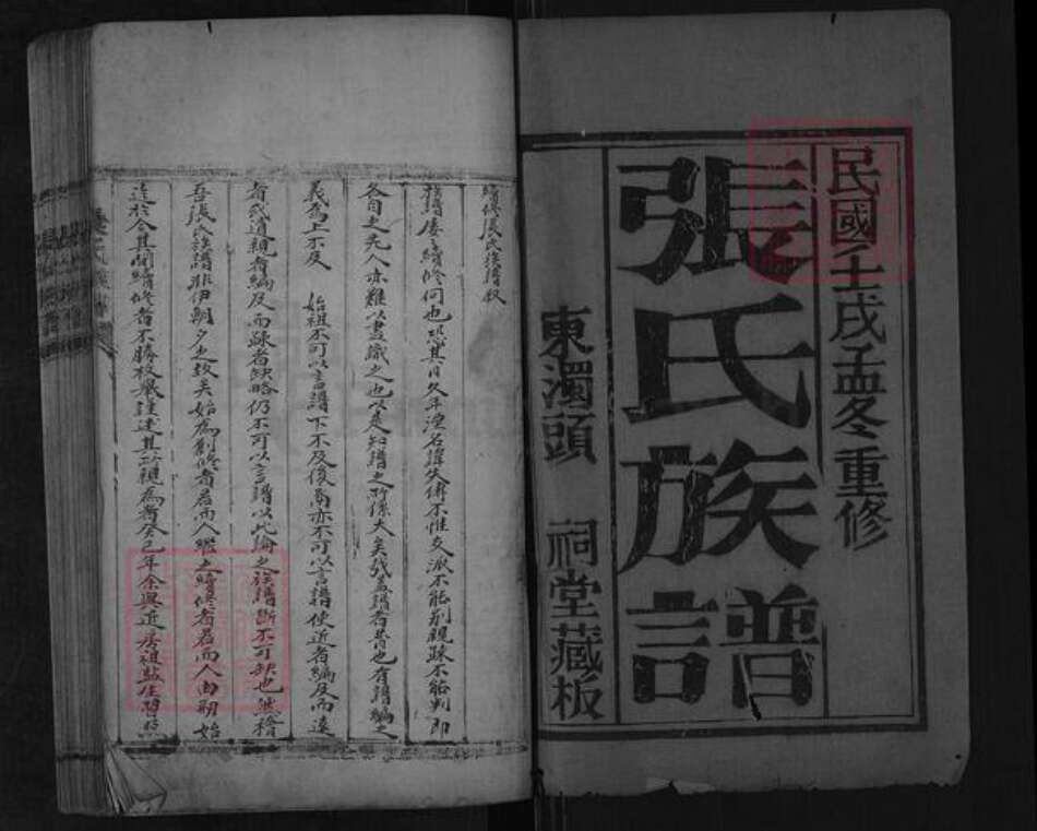 山东省泰安市肥城市汶阳镇张氏族谱-张氏族谱.pdf电子版预览图1