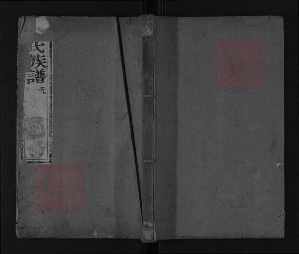 山东省泰安市肥城市汶阳镇张氏族谱-泰邑张氏族谱.pdf电子版缩略图