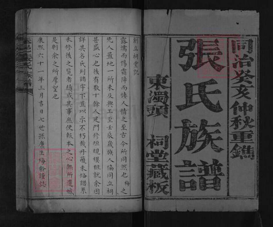 山东省泰安市肥城市汶阳镇张氏族谱-泰邑张氏族谱.pdf电子版预览图1