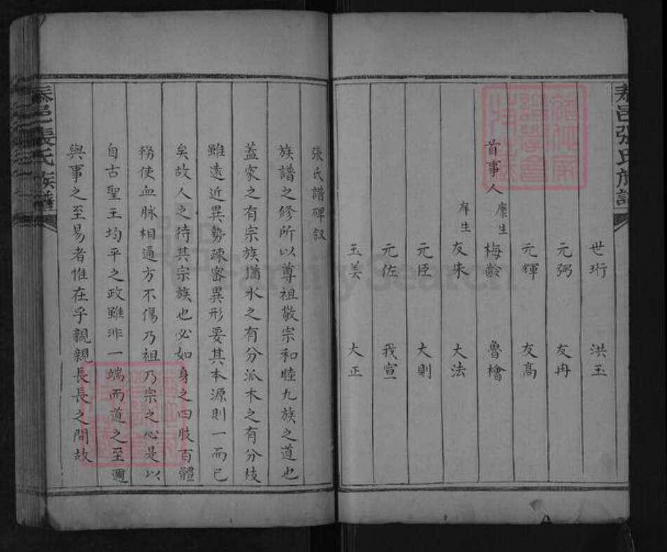 山东省泰安市肥城市汶阳镇张氏族谱-泰邑张氏族谱.pdf电子版预览图2