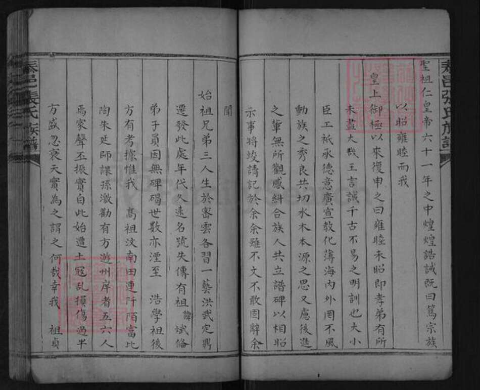 山东省泰安市肥城市汶阳镇张氏族谱-泰邑张氏族谱.pdf电子版预览图3