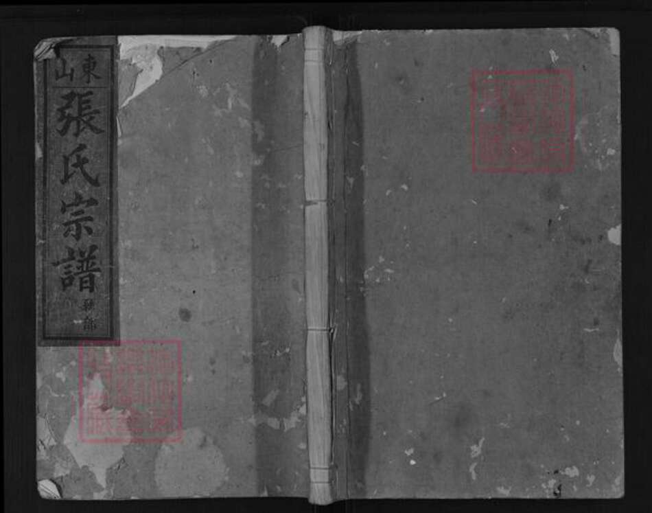 浙江省衢州衢江区云溪乡张氏族谱-东山张氏宗谱.pdf电子版缩略图