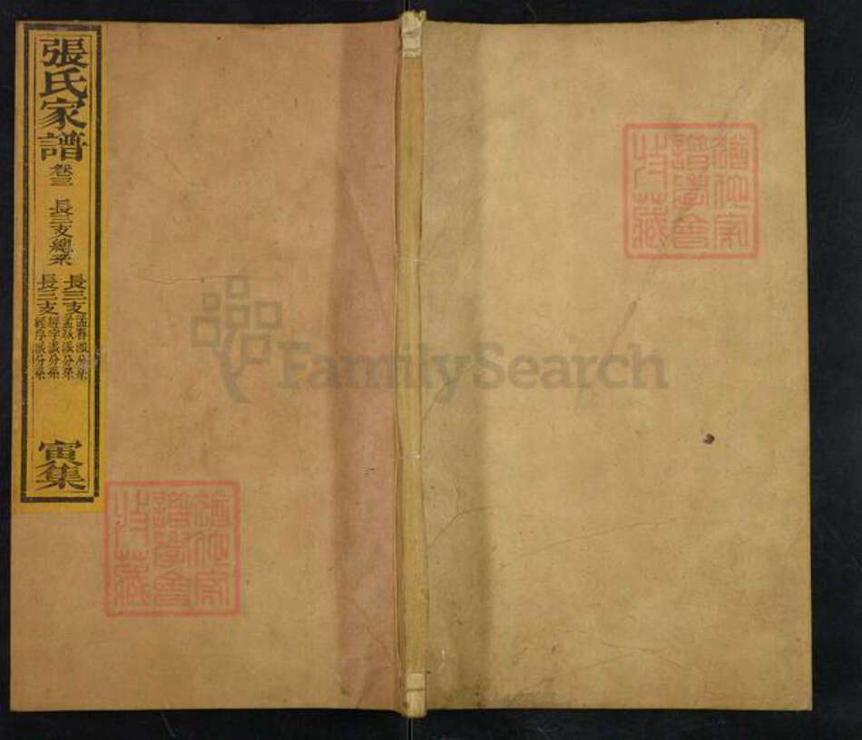 山东省泰安市张氏族谱-张氏家谱.长三支总系.pdf电子版缩略图