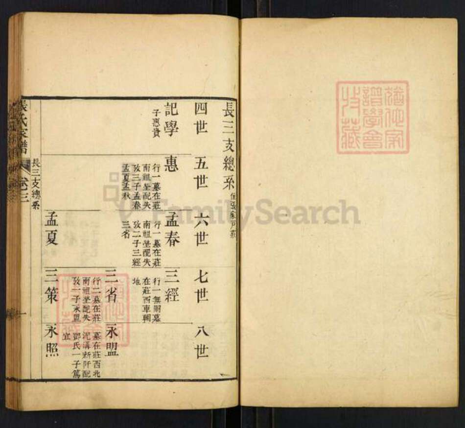 山东省泰安市张氏族谱-张氏家谱.长三支总系.pdf电子版预览图1