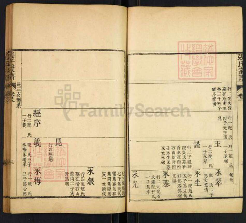 山东省泰安市张氏族谱-张氏家谱.长三支总系.pdf电子版预览图3