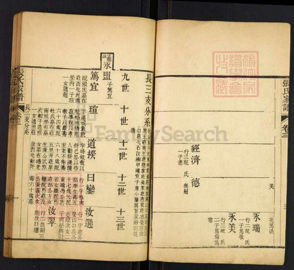 山东省泰安市张氏族谱-张氏家谱.长三支总系.pdf电子版预览图4