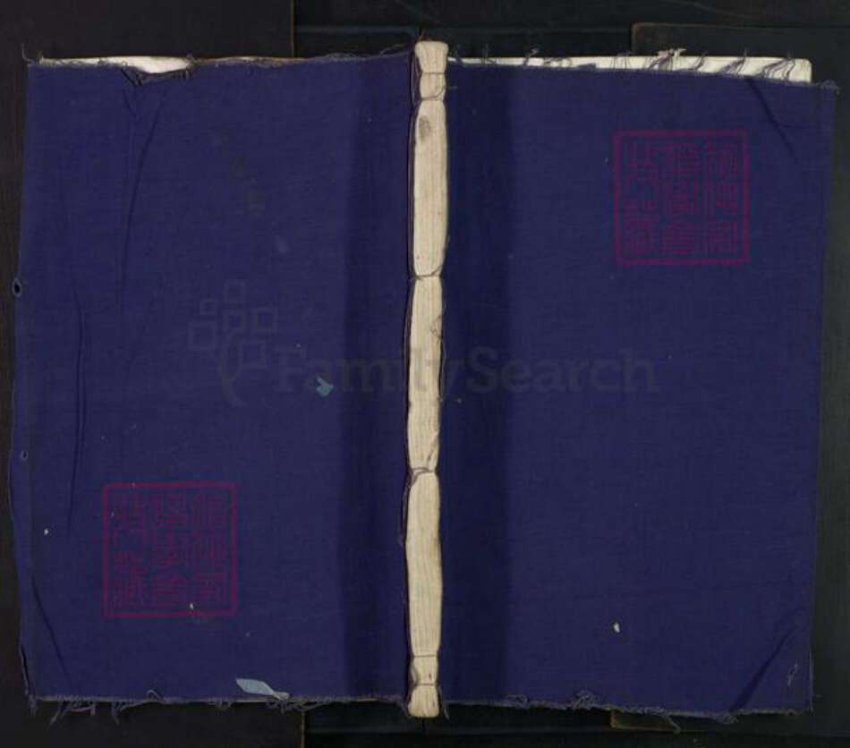 浙江省金华市武义县白姆乡张氏族谱-武川张氏宗谱.pdf电子版缩略图