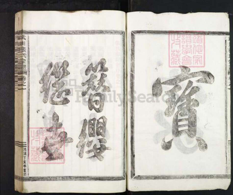 浙江省金华市武义县白姆乡张氏族谱-武川张氏宗谱.pdf电子版预览图2