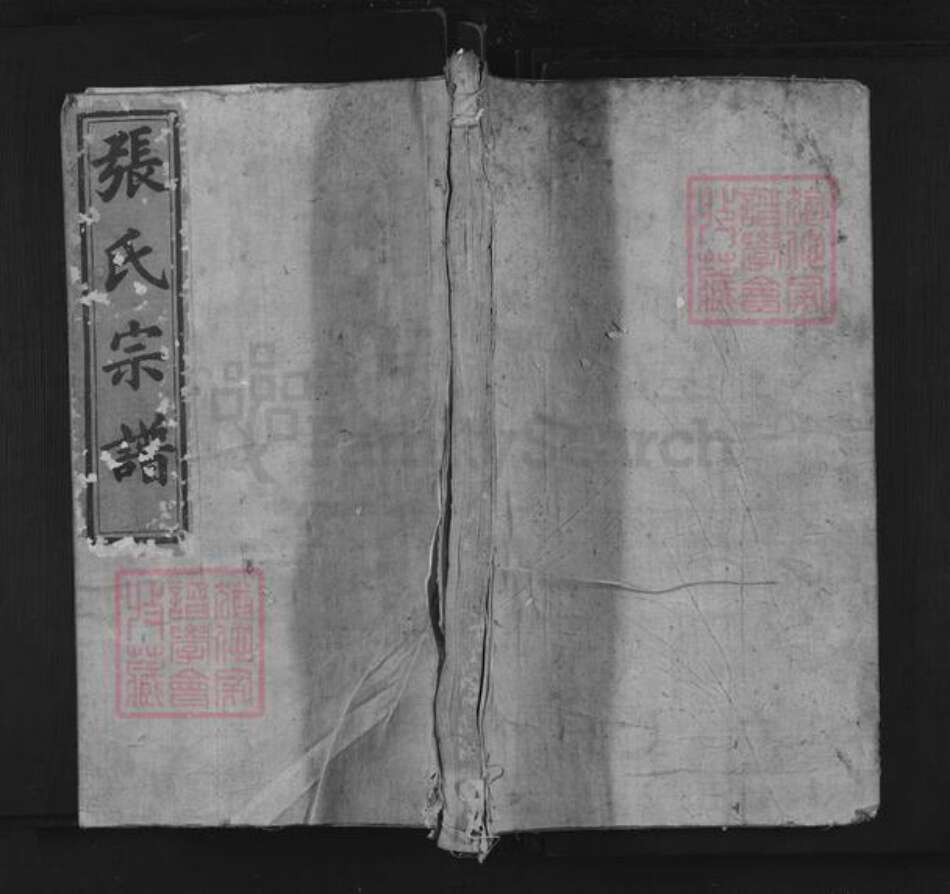 江西省上饶市德兴市银城街道张氏族谱-清河世家张氏宗谱.pdf电子版缩略图