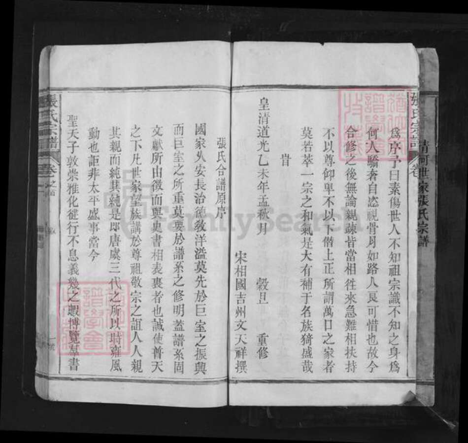 江西省上饶市德兴市银城街道张氏族谱-清河世家张氏宗谱.pdf电子版预览图2