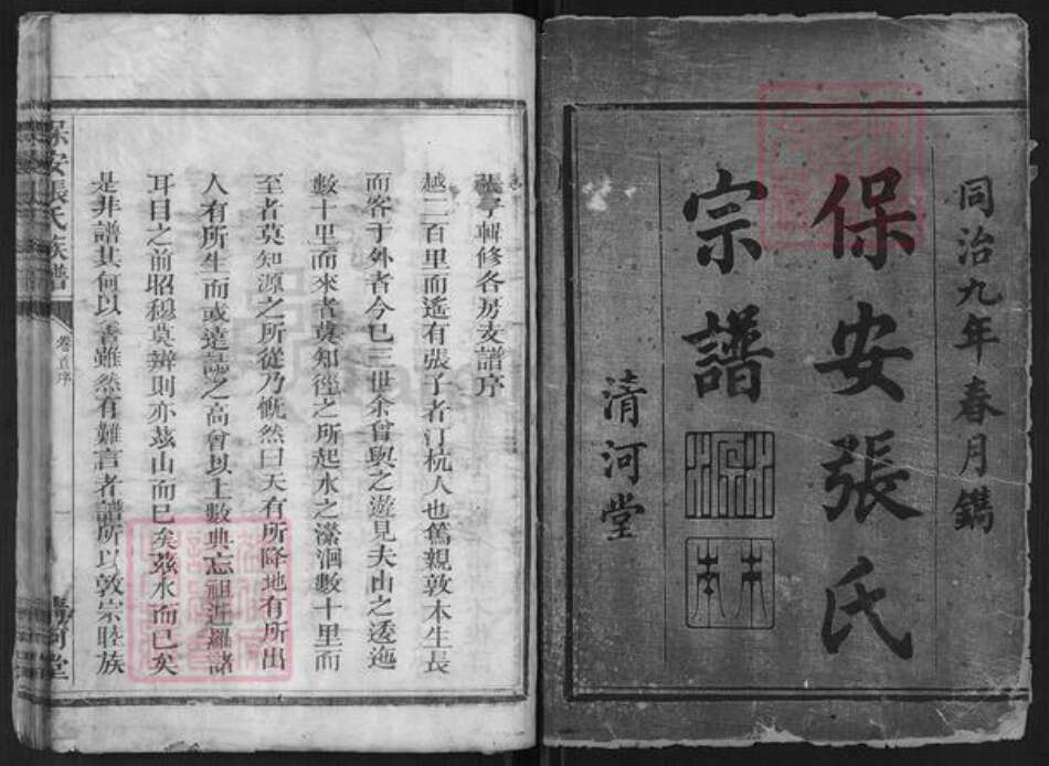 浙江省衢州江山市保安乡张氏清河堂族谱-保安张氏宗谱.pdf电子版预览图1