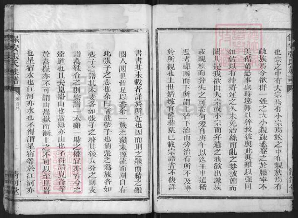 浙江省衢州江山市保安乡张氏清河堂族谱-保安张氏宗谱.pdf电子版预览图2