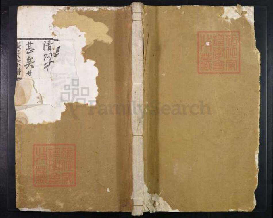 安徽省宣城市绩溪县张氏族谱-绩溪张氏宗谱.pdf电子版缩略图