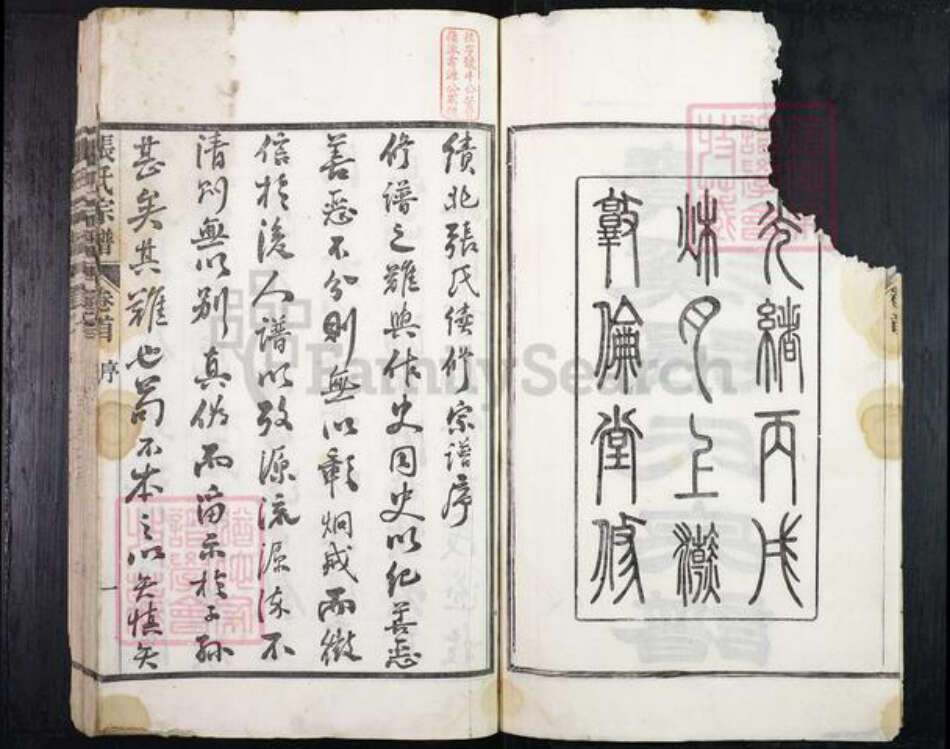 安徽省宣城市绩溪县张氏族谱-绩溪张氏宗谱.pdf电子版预览图2