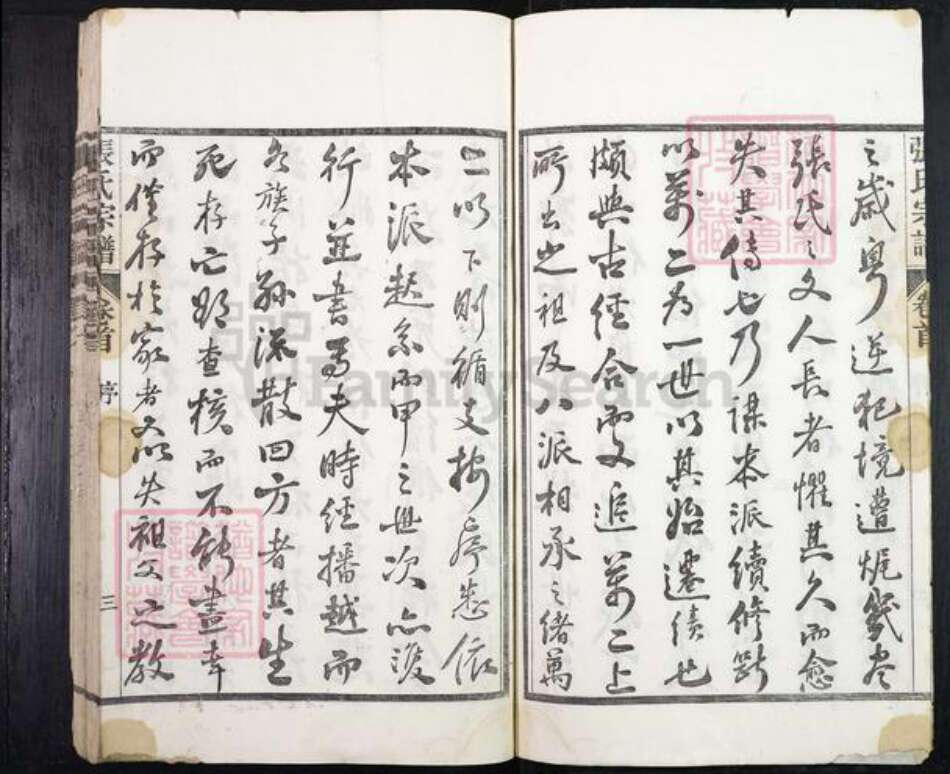 安徽省宣城市绩溪县张氏族谱-绩溪张氏宗谱.pdf电子版预览图4