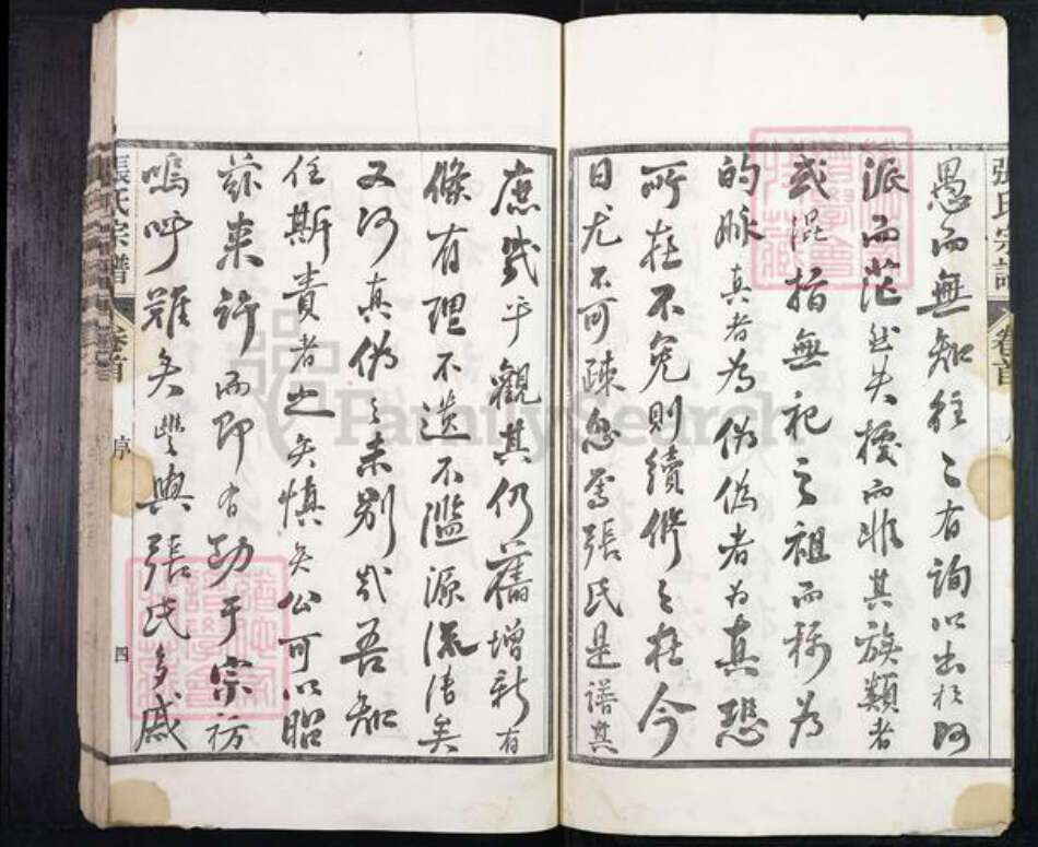 安徽省宣城市绩溪县张氏族谱-绩溪张氏宗谱.pdf电子版预览图5