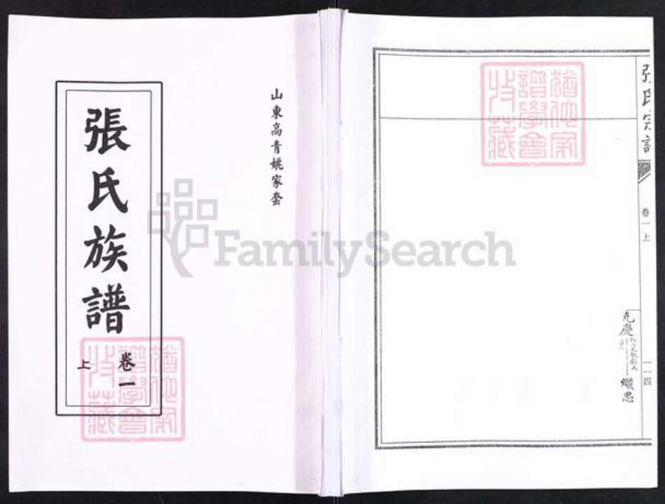 山东省淄博市高青县青城镇张氏族谱-山东高青姚家套张氏族谱.pdf电子版缩略图