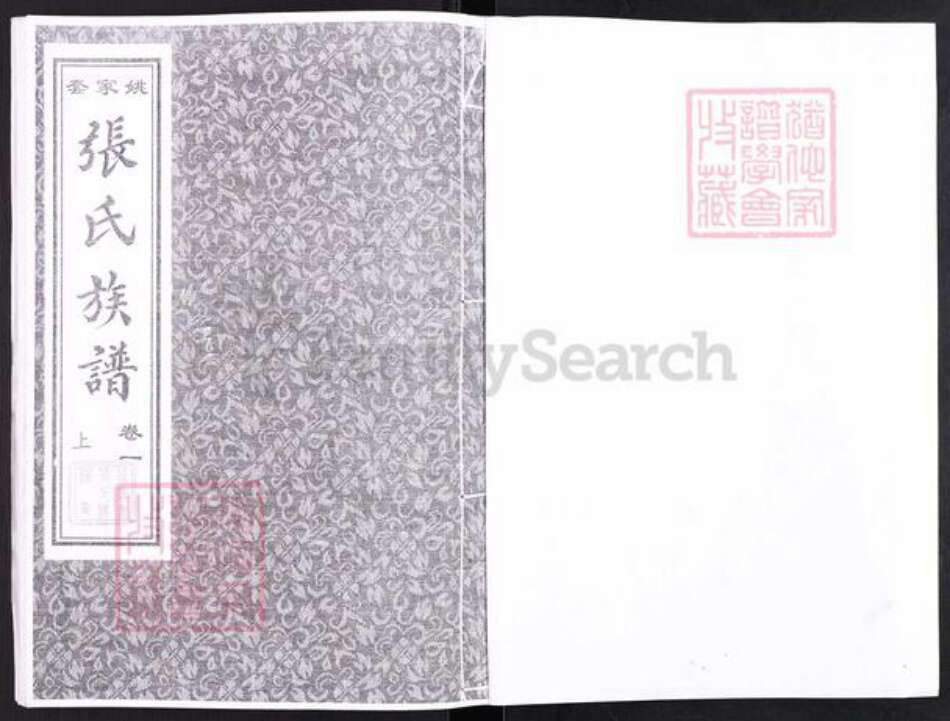 山东省淄博市高青县青城镇张氏族谱-山东高青姚家套张氏族谱.pdf电子版预览图1