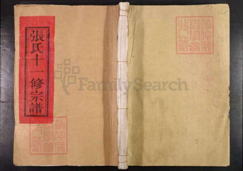 江西省抚州市临川区张氏族谱-梅溪张氏大宗谱.pdf电子版缩略图