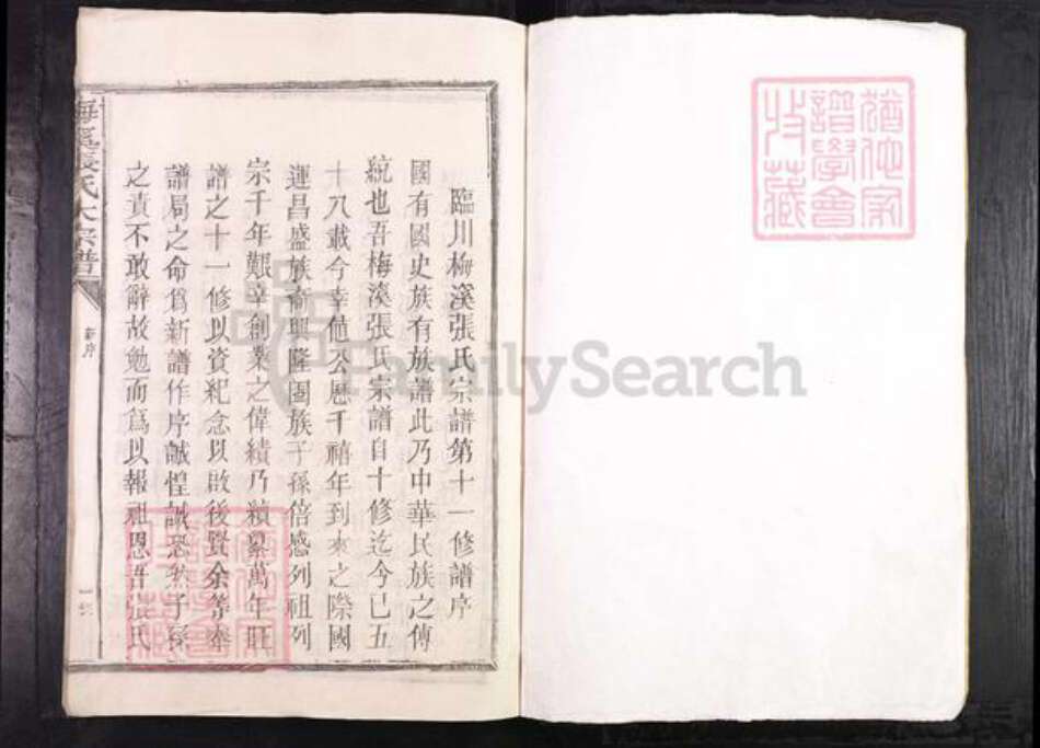 江西省抚州市临川区张氏族谱-梅溪张氏大宗谱.pdf电子版预览图1