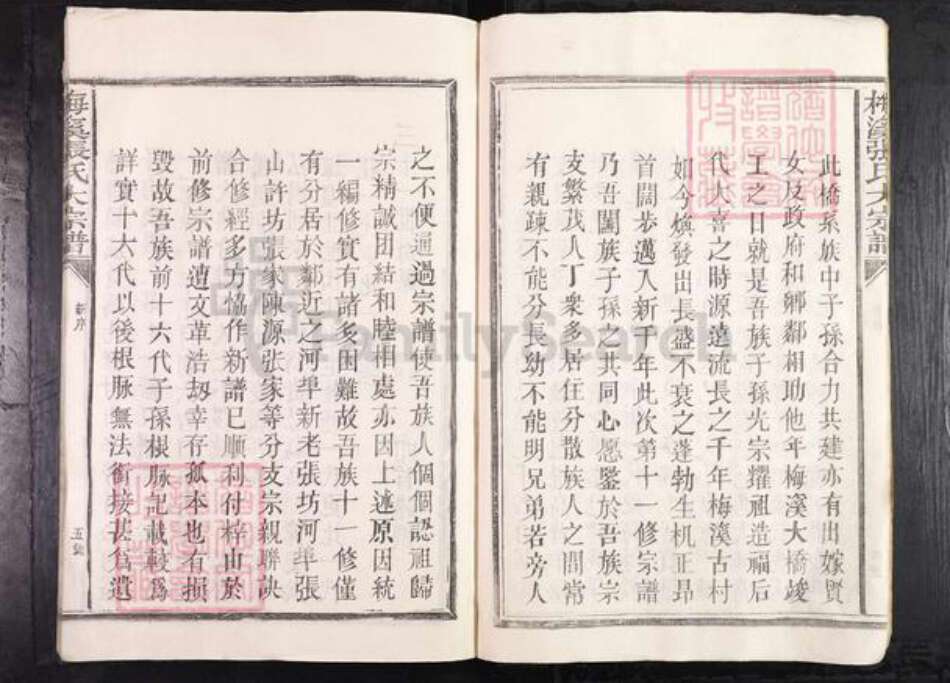 江西省抚州市临川区张氏族谱-梅溪张氏大宗谱.pdf电子版预览图4