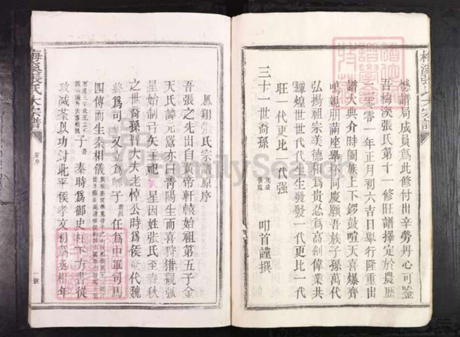 江西省抚州市临川区张氏族谱-梅溪张氏大宗谱.pdf电子版预览图5