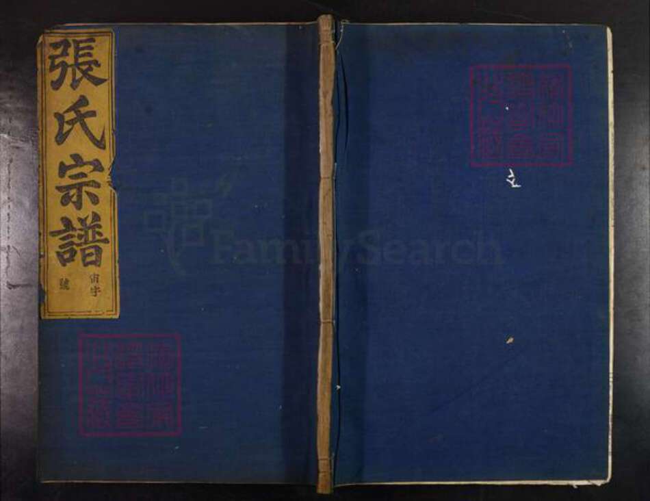 浙江省绍兴新昌县巧英乡张氏㫥穆堂族谱-中溪张氏宗谱.pdf电子版缩略图