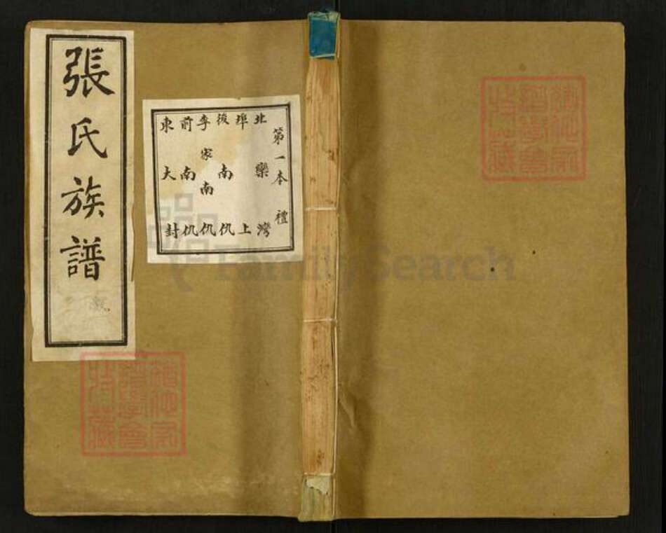 山东省泰安市肥城市张氏族谱-张氏族谱.pdf电子版缩略图