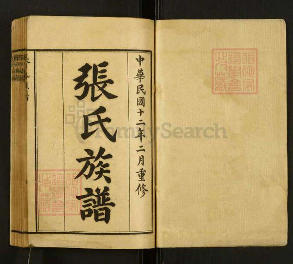 山东省泰安市肥城市张氏族谱-张氏族谱.pdf电子版预览图1